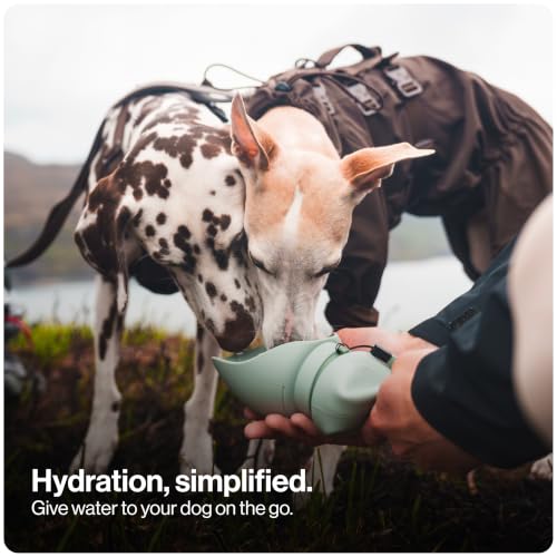 Portable Dog Water Bottle (Olive / 750ml)
