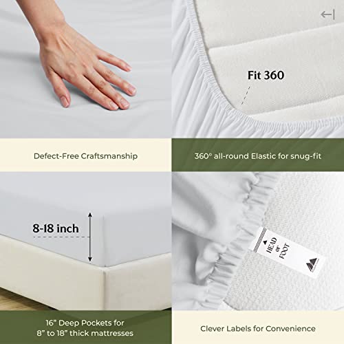 100% Egyptian Cotton Split King Sheets Sets for Adjustable Bed (Split King / 03 - Silver)
