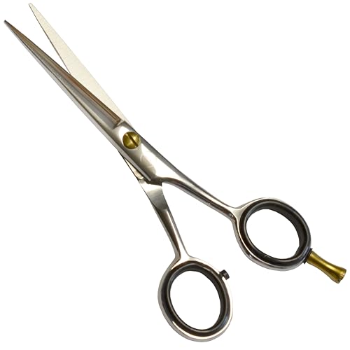 Professional Hair Cutting Scissors (Silver / RoundLoopRadiance Series)