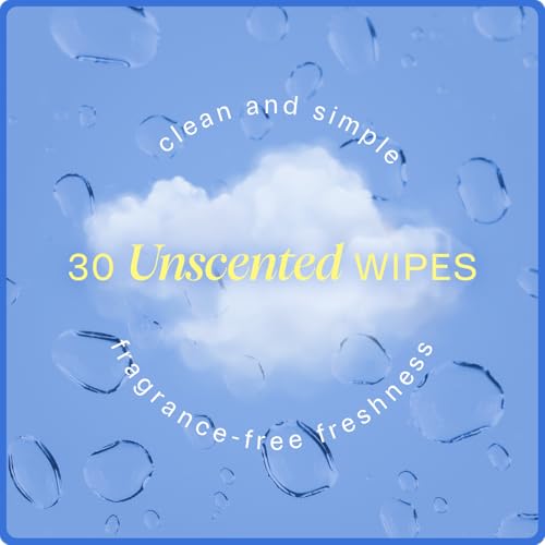 On-the-Go Armpit Cleansing Wipes – Individually Wrapped Underarm Cloths for Sweat & Odor – Biodegradable – UnScented Pack, 30 Count (30 Count (Pack of 1))