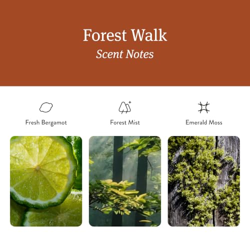 Home Scent Diffuser Refills (Refills)