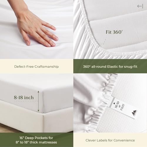 100% Egyptian Cotton Twin Size Sheet Set (Twin / 01 - White)