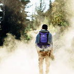 Insulated Hydration Backpack Pack with 3L BPA Free Leak Proof Water Bladder (Black)