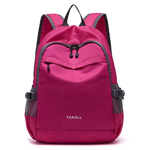 Hiking Backpack 20L Packable Packable Lightweight Day Pack for Women & Men (A-20l-arose)