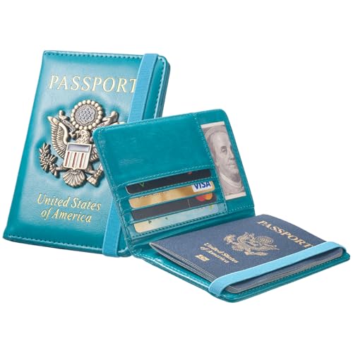 Passport Holder for Travel Men (Lake Blue)