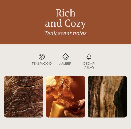 Home Scent Diffuser Starter Kit in Teak (Starter Kit)
