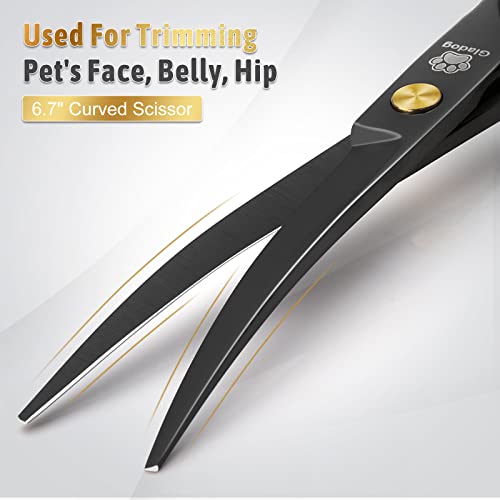 Dog Grooming Scissors Kit with Safety Round Tips (Golden 5 in 1)