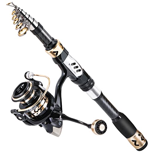 Fishing Pole Kit (3.0M/9.83FT Rod with 4000 Reel / Only Rod and Reel)