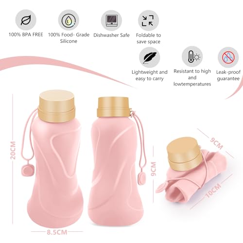 Collapsible Water Bottles (Pink)