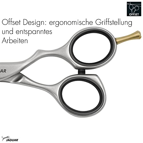 Pre Style Relax Hairdressing Scissors 7" Long (Classic / 7.0 Inch)