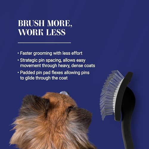 Baby K Dog Slicker Brush (Small / Black)