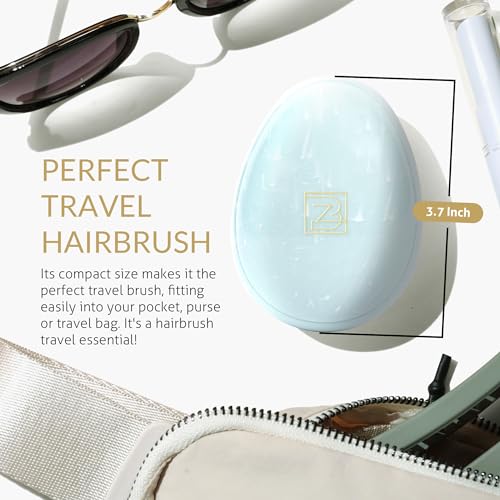 Travel Hairbrush (Aquamarine)