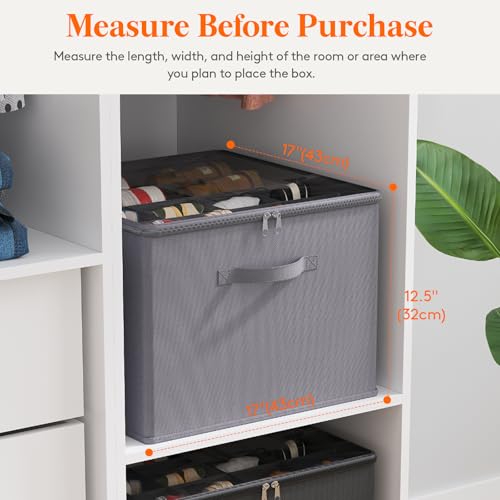 Shoe Storage Organizer for Closet (Gray)