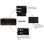 Luxury Watch Sunglasses and Jeweler Display Case and Organizer