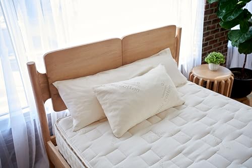 Organic Latex Pillow (King)