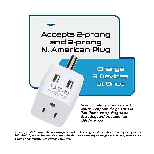 South Africa Botswana Travel Adapter Plug With Dual USB + USA Input (white gray)