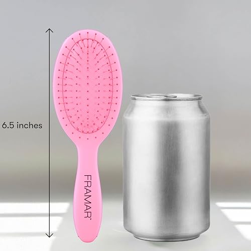 Mini Hair Brush Detangler (Pink - Mini)