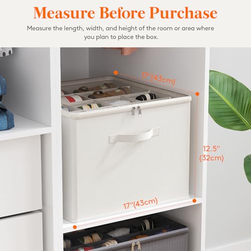 Shoe Storage Organizer for Closet (White)