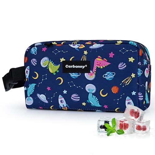 Freezable Snack Bag (Blue Dinosaur)