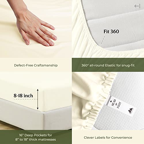 100% Egyptian Cotton Sheets California King Size (California King / 04 - Ivory)