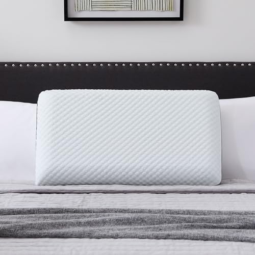 Cooling Gel Memory Foam Pillow for Sleeping (Queen / 1 Pack)