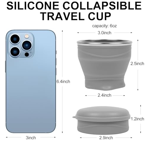 Collapsible Cup 2 (Gray & Pink)