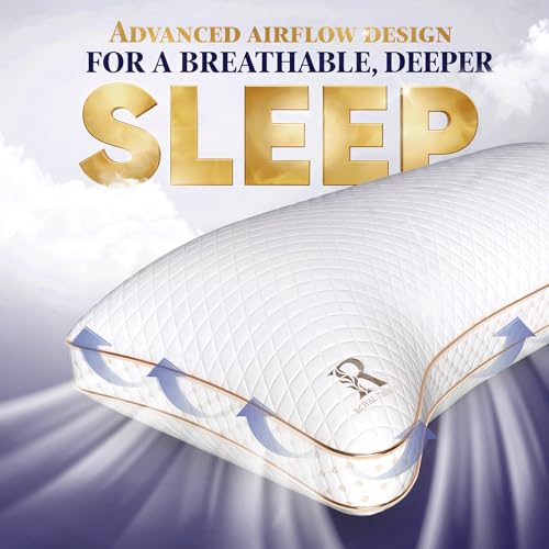 King 2 Pack Memory Foam Pillow (King (Pack of 2))
