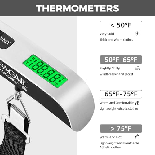 Digital Luggage Scale (2 * Ash Silver)