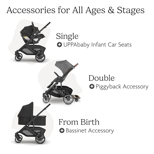Cruz V3 Full Size (Cruz V3 Stroller / Jake (Charcoal))