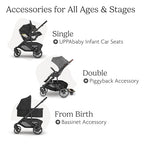 Cruz V3 Full Size (Cruz V3 Stroller / Jake (Charcoal))