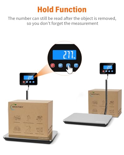 Shipping Scale
