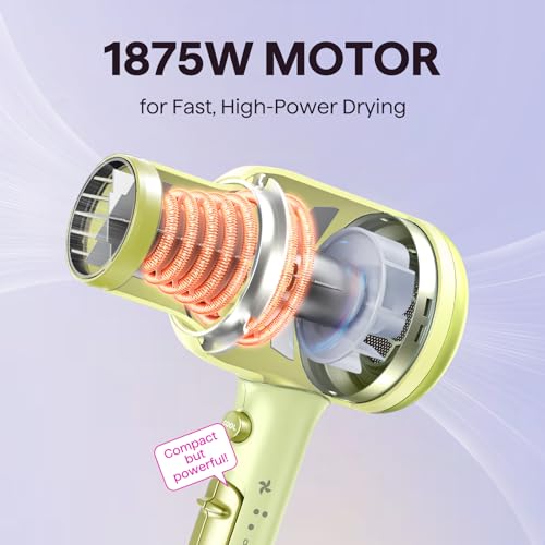 Blown Away Ionic Hair Dryer with Diffuser for Curly Hair (Green)