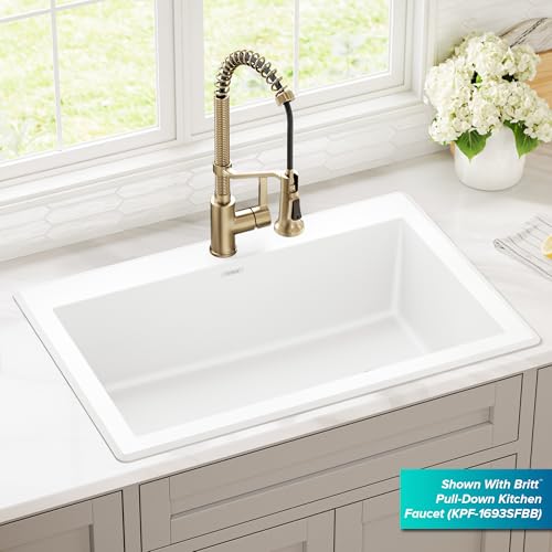Forteza 33 inch Granite Drop In (Single Bowl Drop In Sink / White)