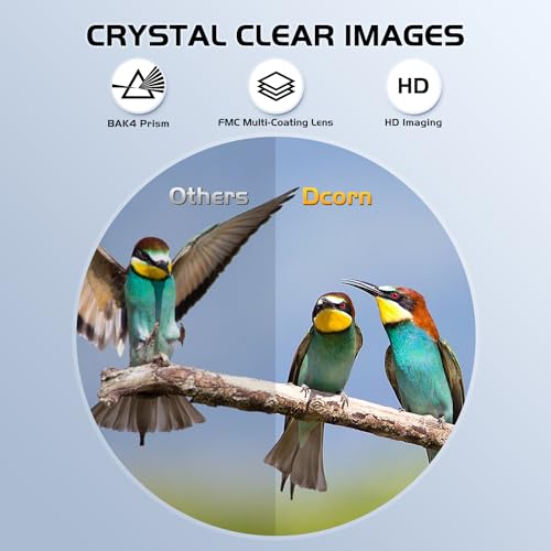 10x25 Binoculars for Adults