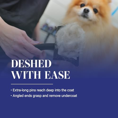 Big K Dog Slicker Brush for Dogs (Large / Black)