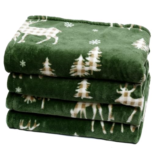 Christmas Fleece Blanket Queen (Northern Winter / Queen(90" X 90"))