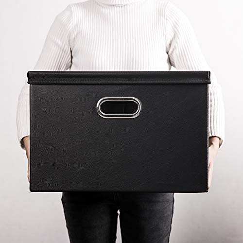 Large Collapsible Storage Bin with Lid [1 (Black / Large(1-Pack))