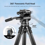 Carbon Fiber Desktop Mini Camera Tripod (TP10)