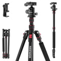 Basics Camera Tripod Monopod (TP15 w/Ball Head)