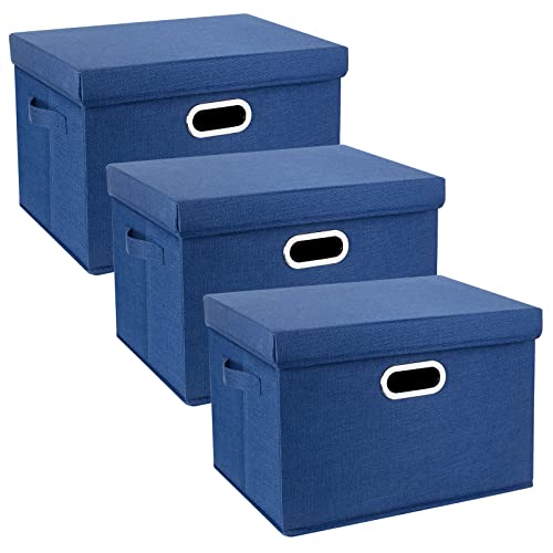 Large Storage Bins with Lids (3-Pack Large / Classic Blue)