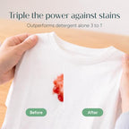 Stain Remover (4 Fl Oz (Pack of 2))