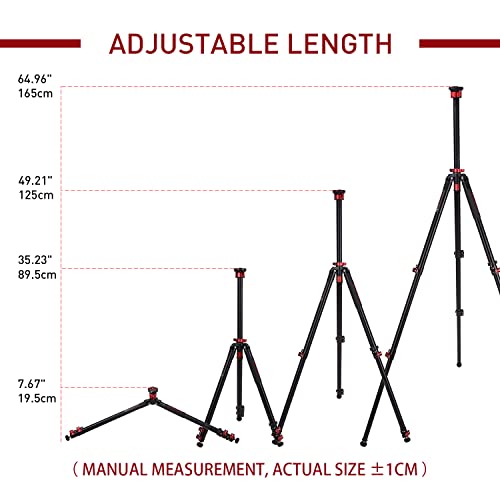 TC6S Carbon Camera Tripod (TC6S)