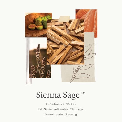 Sienna Sage Diffuser Oil Refill (7.75 Fl Oz (Pack of 1))