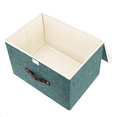 Collapsible Storage Boxes (2 pack / Aqua Deep)