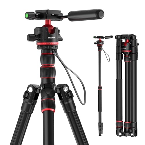 Basics Camera Tripod Monopod (TP08)