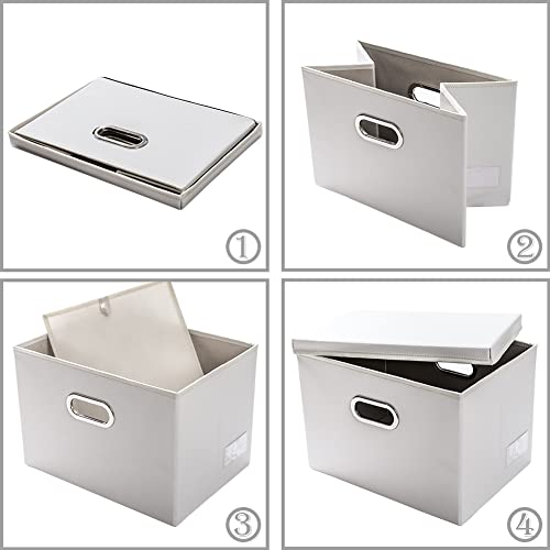 Large Stackable Storage Bins with Lids [5 (White / Large(5-Pack))