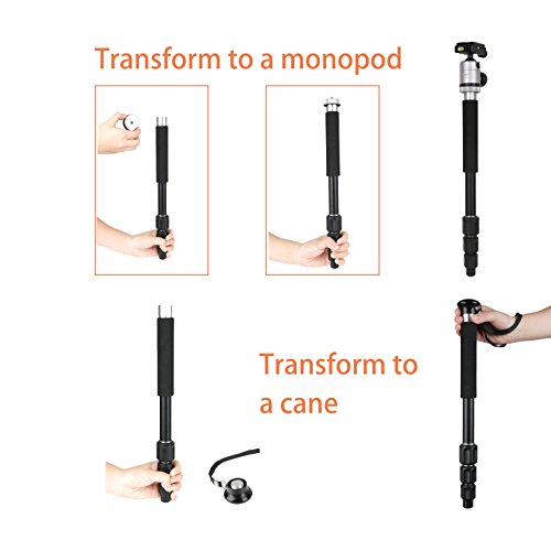 Camera Tripod 55 Inch Aluminum Ball Head Quick Release Plate Professional Camera Tripod for Travel Tripod Max Load Up to 17.6lbs (CT-4A-US / 55" CT-4A (Aluminum))