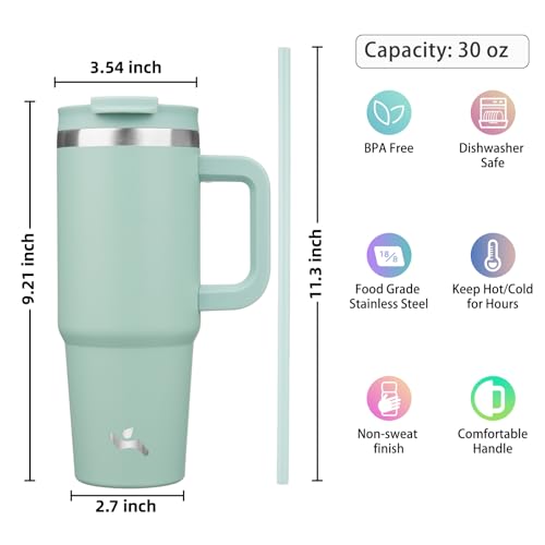 30 oz Insulated Tumbler Water Bottle with Handle (30 Ounces / Retro Green)