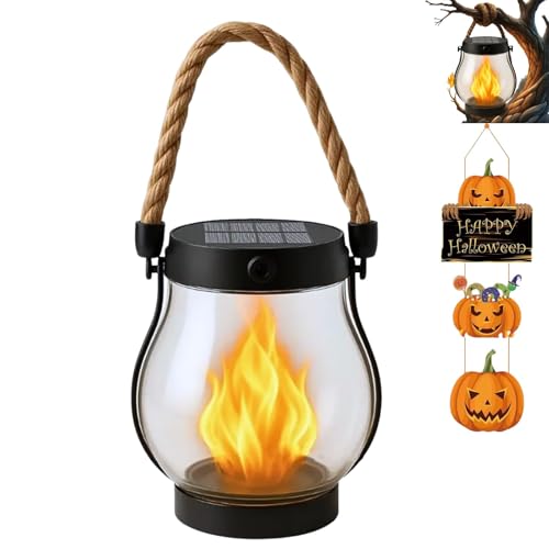 Solar Lantern Outdoor Lights (1)