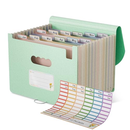 Accordion File Organizer (Mint Green)